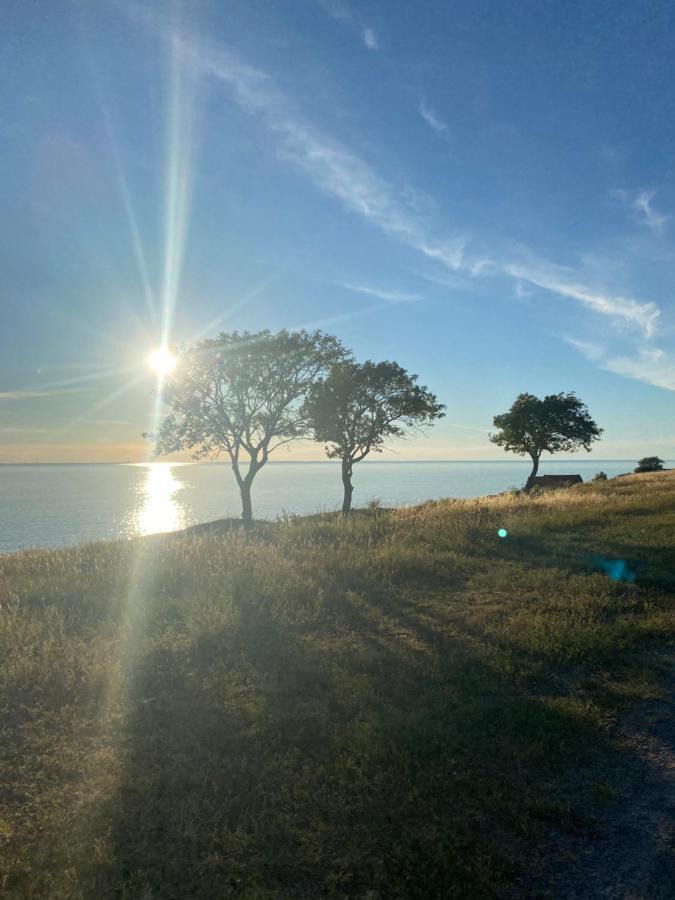 Bo I Egen Stuga Pa Haerlig Oelandsgard Köpingsvik Exterior foto